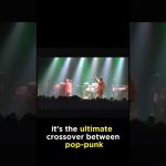 Princess Leia Where Are You? Blink 182 Song